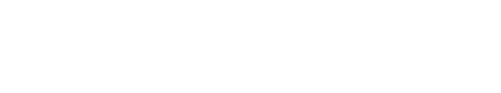 Sinseng Components Site Logo